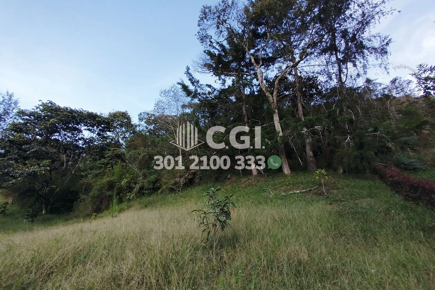 LOTE EN LLANO GRANDE - ANTIOQUIA 20310248 COP/USD — foto 4