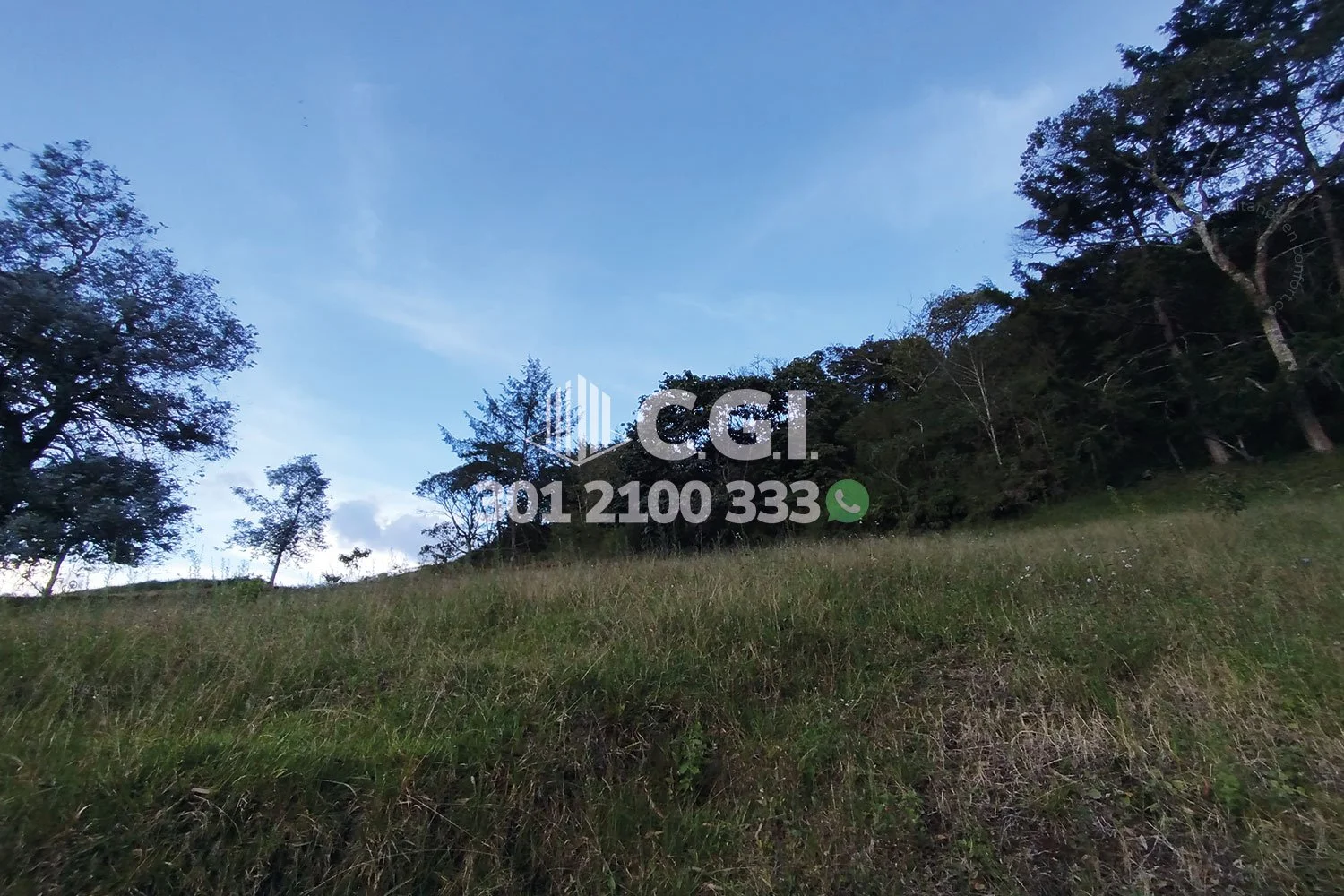 LOTE EN LLANO GRANDE - ANTIOQUIA 20310248 COP/USD — foto 3